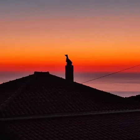 Aura Ionis Spacious House With Amazing Views *